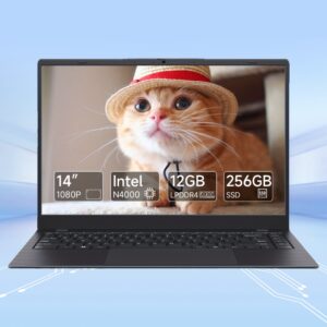 2025 Fangzheng 14 Inch Ultra-thin Lightweight Laptop