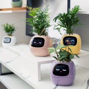 Ivy Smart Planter, Robo Pet, Trendy Figurine
