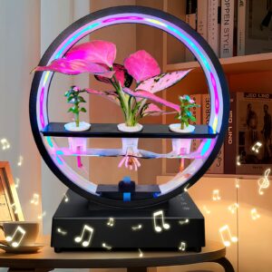 1pc Multi Functional Water Feature Decorative Lights with Wireless Speaker